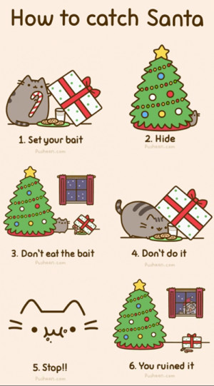 Pusheen Cat Teaches Us How To Not Catch Santa