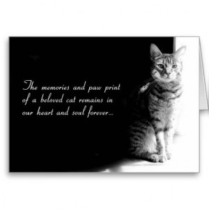 Sympathy card for the loss of a beloved pet cat