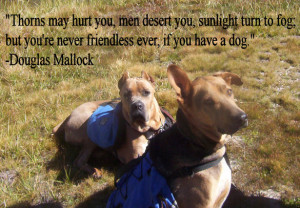 ... turn to fog; but you're never friendless ever, if you have a dog