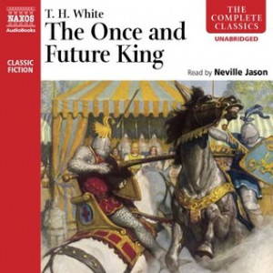 Robert Delikat's Reviews > The Once and Future King