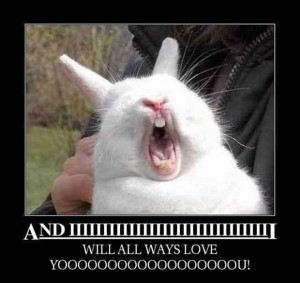 tagged with Funny Pictures Of The Day - 55 Pics