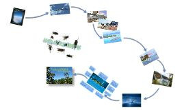 Bulletin Boards Schools, Teaching Lord Of The Flying, Teacher Stuff ...