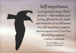 Self Importance Is Our Greatest Enemy - Ego Quote