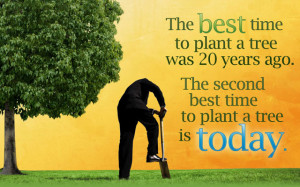The Best Time To Plant a Tree Was 20 Years Ago. The Second Best Time ...