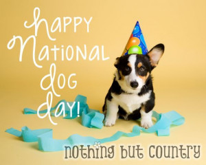 National Dog Day Pictures, Quotes, Messages - Photos