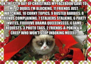On the 12th day of Christmas my Facebook gave to me
