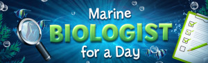 Marine Biologist Experience