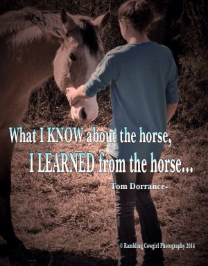 What I know about the horse I learned from the horse