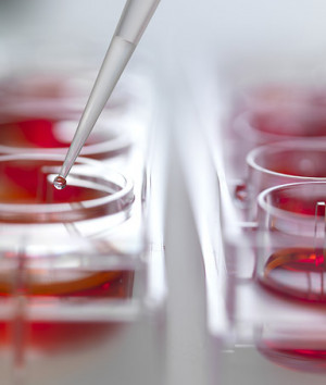Pipetting fluid into sample tray