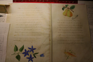 St Gemma Galgani photos and a quote from Jesus to Gemma