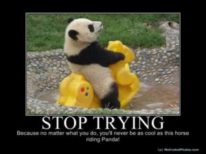 Funny Panda Quotes Panda's are strange and crazy.
