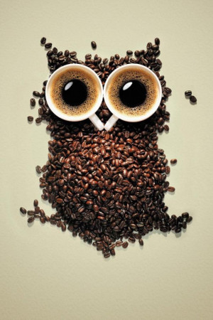 ... Pictures free night coffee owl wallpapers free night coffee