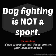 Dog fighting is not a sport. It's animal abuse and it's a crime. More