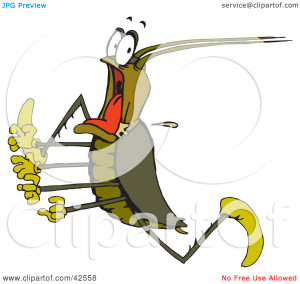 Funny Cockroach Pictures Images Quotes Picture