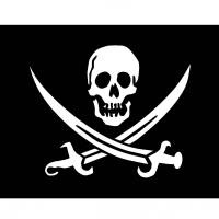 Pirate flag template This is your index.html page