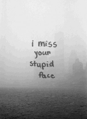 Miss Your Stupid Face Quote