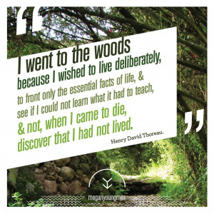 Quotes From into the Woods