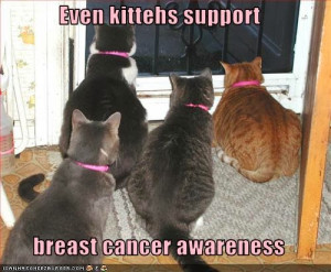 ... : Funny Breast Cancer Quotes , Funny Breast Cancer Quotes for Shirts