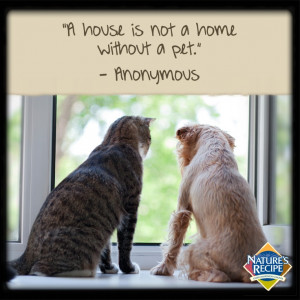 ... house is not a home without a pet.
