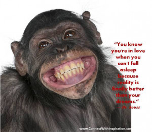 You Know You Are In Love Quote, Inspirational, Monkey