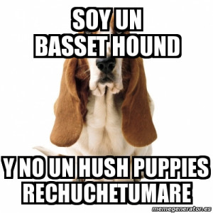 funny basset hound memes