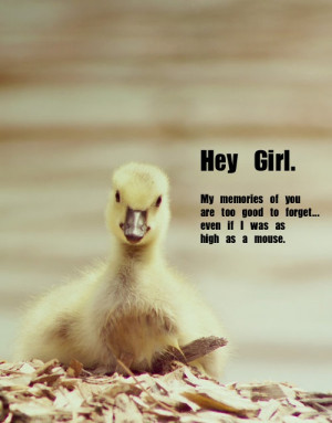 Titanic Movie Rose Drawing · · Love Quotes For Best Friend Girl ...