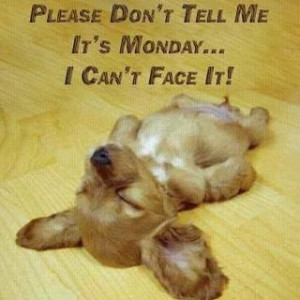 Oh no its Monday...again
