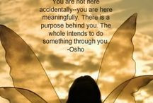 Great Quotes / by Elaine Seiler ~ Transformation Energetics