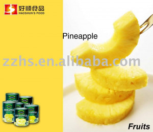 ... : Canned Pineapple Slice, Canned Pineapple, Canned Fruit, Canned Food