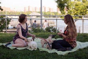 Hannah’s ‘Sad Little Glow Worm’ Outfit on Girls , Explained