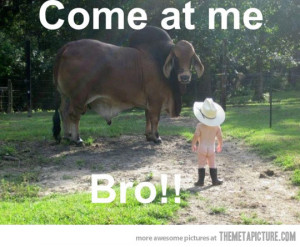Funny photos funny baby cowboy hat cow