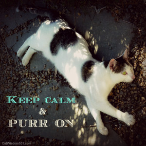 Spring has sprung in our neck of the woods. Odin must be getting older ...