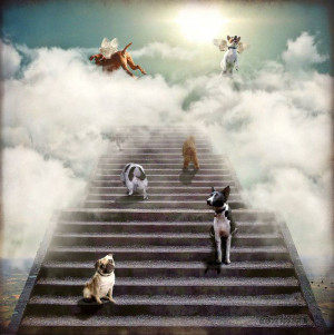 dogs going to heaven quotes | ... to a very thirsty man these dogs go ...
