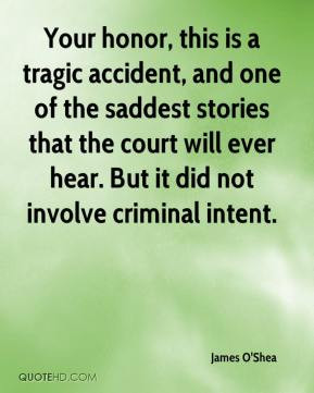 Your honor, this is a tragic accident, and one of the saddest stories ...