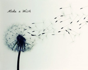 Make A Wish Quotes Tumblr Make a wish quotes tumblr make