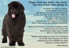 The Blissful Dog | Dog Quotes