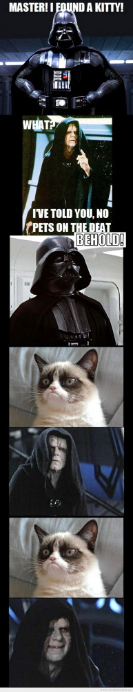 Funny Grumpy Cat Star Wars