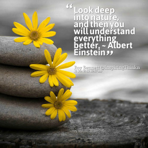 Quotes Picture: look deep into nature, and then you will understand ...