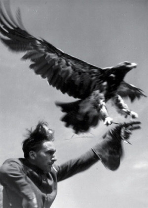 ... by Pir Vilayat, and many other resources relevant to his work