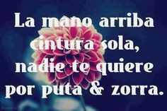 Comics Humor Frac, Quotes Funny, Zorra Quotes, Tiene Canción, Putas ...