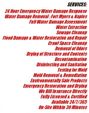 FOR A FREE HURRICANE ISAAC FLOOD DAMAGE RESTORATION SERVICE QUOTE CALL
