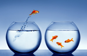 Thank you for your interest in joining the 3.2 Million members of PEA ...