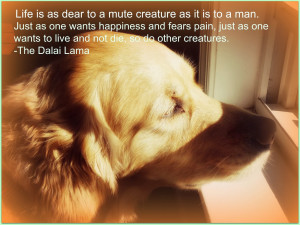 We must love our children unconditionally and recognize them as the ...