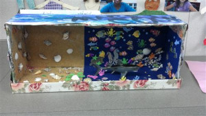 4th grade ecosystem projects