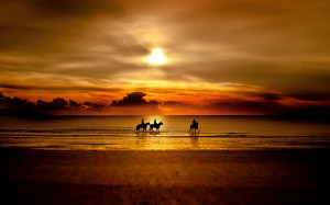 Riding Beach Sunset Wallpapers Pictures Photos Images