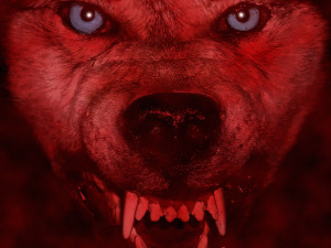 Wallpaper Download Red Wolf