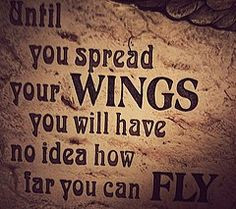 Spread your wings quote for toddler airplane room More
