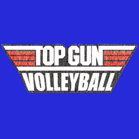 2012 TOP GUN Volleyball Tournament