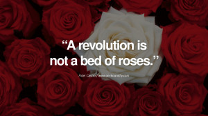 ... bed of roses. - Fidel Castro Quotes by Fidel Castro and Che Guevara
