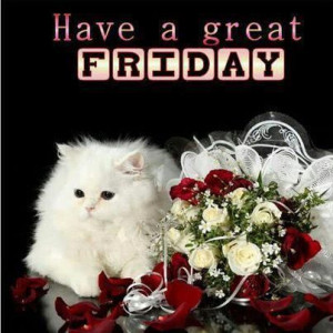 Have A Great Friday